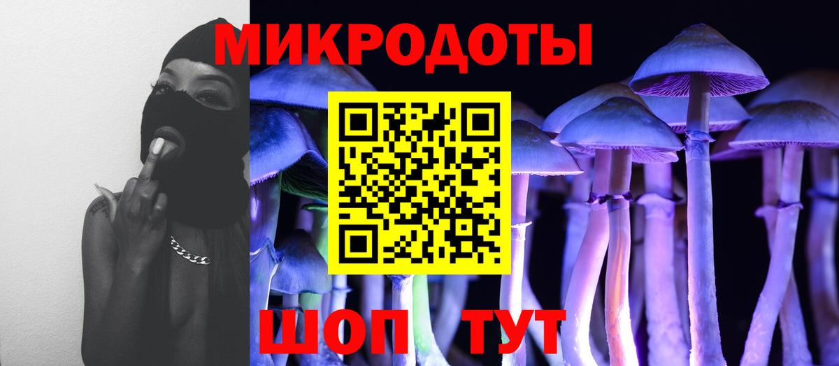 Галлюциногенные грибы Psilocybe Зеленогорск