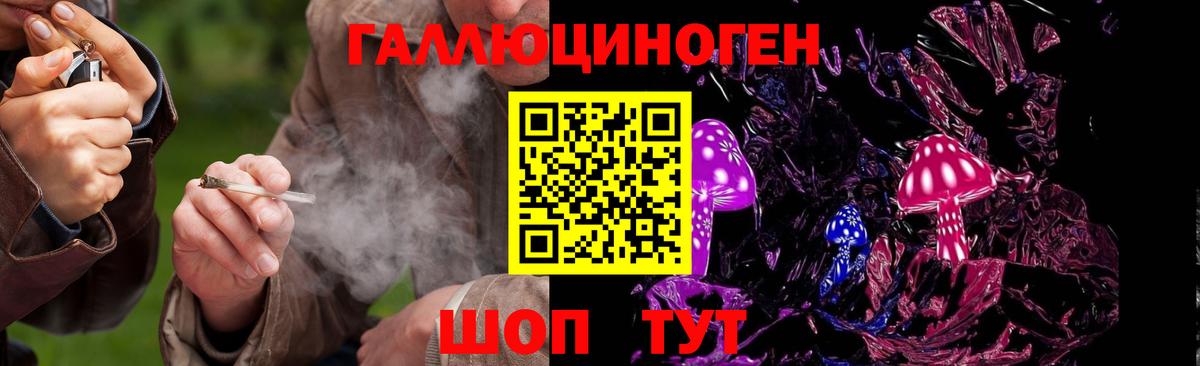 Зеленогорск  Псилоцибиновые грибы MAGIC MUSHROOMS  Вход с VPN  Псилоцибиновые грибы GOLDEN TEACHER 